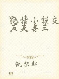 艳情小说交换女友夫妻三