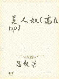 美人奴(高h,np)