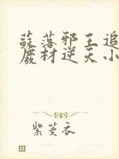 苏落邪王追妻:废材逆天小姐全文免费阅读