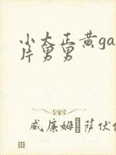 小太正黄gay片男男
