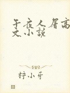 午夜人屠高辣h文小说