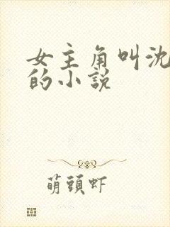 女主角叫沈清澜的小说