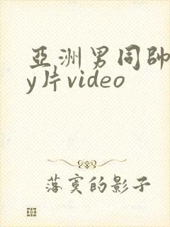 亚洲男同帅gay片video
