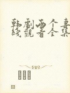 韩剧两个妻子在线观看全集免费