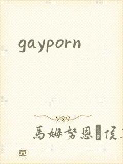 gayporn封面