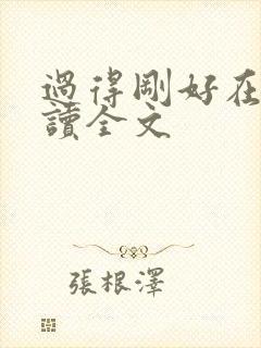 过得刚好在线阅读全文