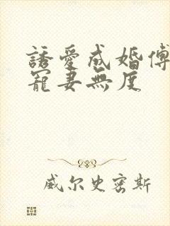 诱爱成婚傅先生宠妻无度封面
