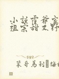 小说霍爷家的小祖宗甜又野封面