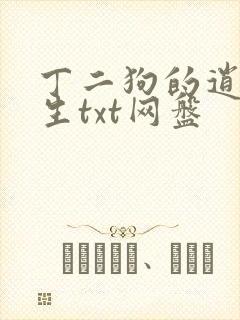丁二狗的逍遥人生txt网盘