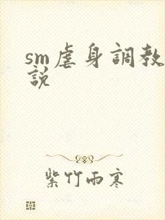 sm虐身调教小说