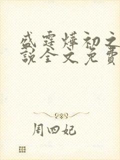 盛霆烨初之心小说全文免费阅读