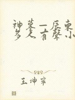 神墓—辰东免费多人有声小说