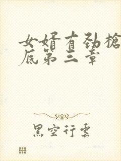 女婿有劲枪枪到底第三章