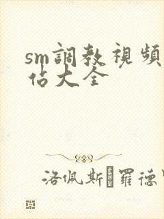 sm调教视频网站大全