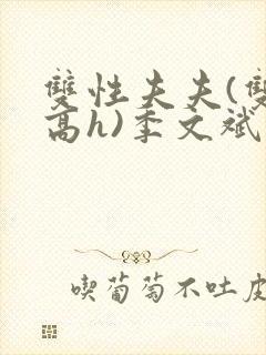 双性夫夫(双性高h)季文斌封面