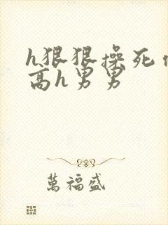 h狠狠操死你h高h男男