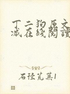 丁二狗原文无删减在线阅读