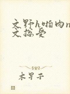 文野h啪肉np文总受