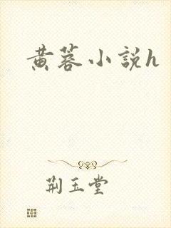 黄蓉小说h