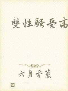 双性骚受高h文