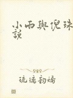 小雨与倪珠的小说