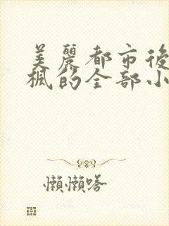 美丽都市后宫唐枫的全部小说
