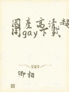 国产高清超帅男同gay下载封面