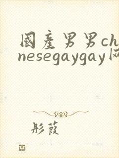 国产男男chinesegaygay网站