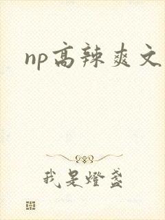 np高辣爽文