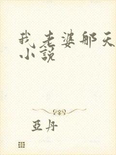 我老婆那天之后小说