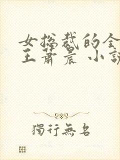 女总裁的全能兵王萧晨 小说