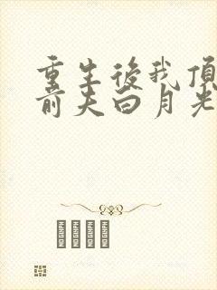 重生后我顶替了前夫白月光》