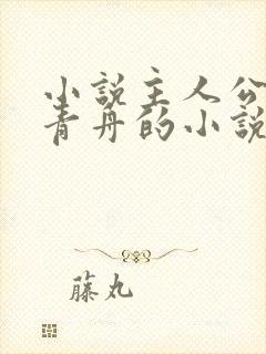 小说主人公叫洛青舟的小说