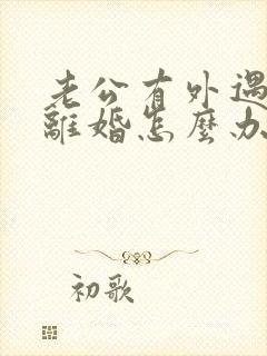 老公有外遇了想离婚怎么办