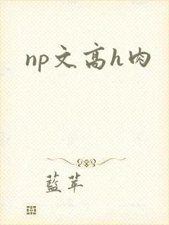 np文高h肉