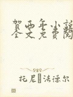 贺西年小说林浅全文免费阅读
