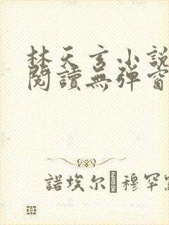 林天玄小说免费阅读无弹窗封面