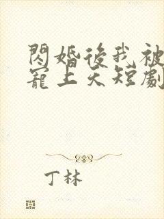 闪婚后我被总裁宠上天短剧封面