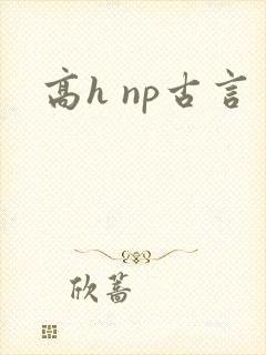 高h np古言