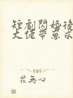 短剧闪婚后禁欲大佬带崽求名分