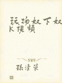 玩物奴下奴丨vk视频