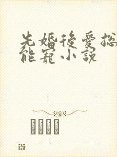 先婚后爱总裁太能宠小说