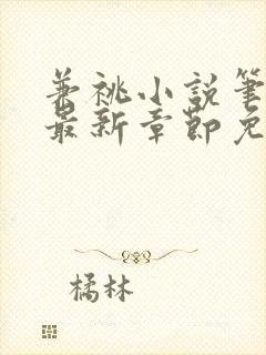 兼祧小说笔趣阁最新章节免费阅读