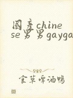 国产chinese男男gaygay网站2025