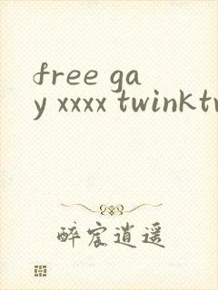 free gay xxxx twinktv