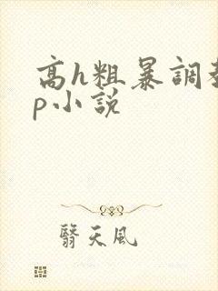 高h粗暴调教np小说