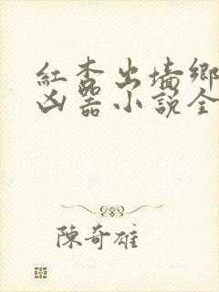 红杏出墙乡村大凶器小说全文阅读