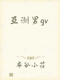 亚洲男gv