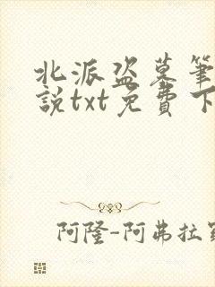 北派盗墓笔记小说txt免费下载