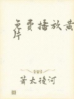 免费播放黄色大片